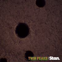 twin peaks GIF by Stan.
