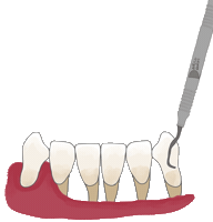 Odonto Periodoncia Sticker