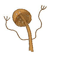 Millepeony art illustration drawing autumn Sticker