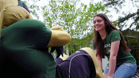 Sac-State giphygifmaker work out hornet herky GIF
