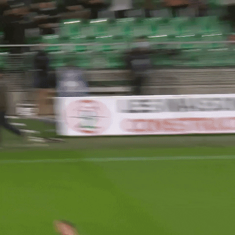Celebration Goal GIF by AS Saint-Étienne