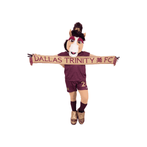 Dallas Dtfc Sticker by Dallas-Trinity-FC