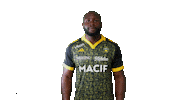 Sport Celebration Sticker by Stade Rochelais