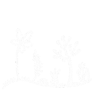 vidanantli nature natural vida blanco Sticker