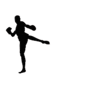 GoaAlphaEvents fight mma boxing fighting Sticker