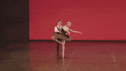 Emergingdancer GIF by English National Ballet