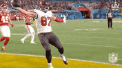 Super Bowl Football GIF by NFL