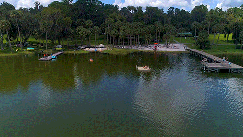 lake wauburg GIF by University of Florida