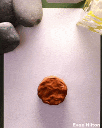 Stop Motion Color GIF by Evan Hilton