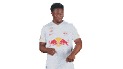 Football Sport Sticker by FC Red Bull Salzburg