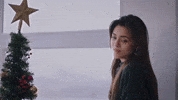 Kızılcık Şerbeti GIF by Show TV