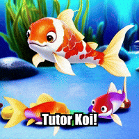 Koi Fish Education GIF by TheConfishius