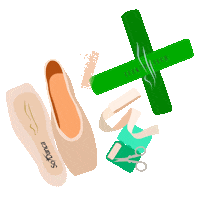 Ballet Shoes Dancer Sticker by So Danca