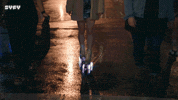Alan Tudyk Roller Skating GIF by SYFY