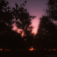 Art Glow GIF by Pi-Slices