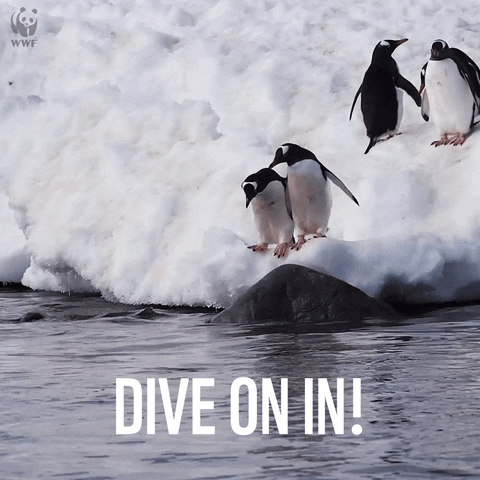 penguin swimming GIF by WWF_UK