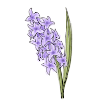 Flower Sticker by Increase Creativity