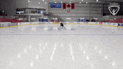 Hockey Arc GIF by All-Round Champion