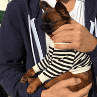 austin barks and baristas GIF by Bark