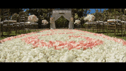 Dftw GIF by Switzerfilm