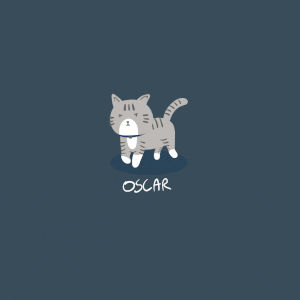 booksiri giphyupload cat booksiri booksiriworld GIF