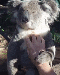 GIF by madmoiZelle