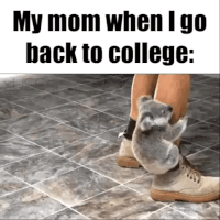 hahah GIF
