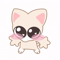 Skz Stay GIF