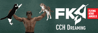 FlyingKiwiAngels another fka friday fka news GIF