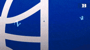 College Basketball Sport GIF by Duke Men's Basketball