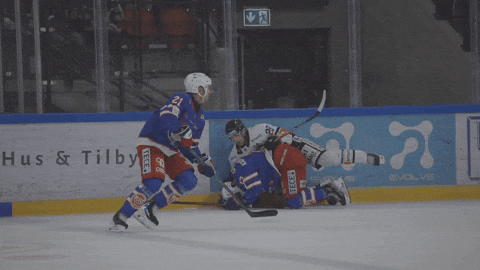 VIFHockey giphyupload hockey frisk asker GIF