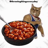 Cat Throwing GIF