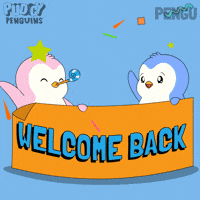 Youre Back GIF by Pudgy Penguins