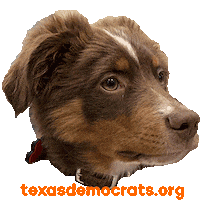 texasdemocrats dog puppy dogs texas Sticker