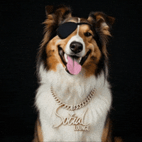 Texas Am Diamond GIF by Social Lounge