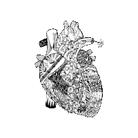 Heart Queen Sticker by Mamaginekolog