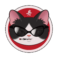 Cat Sunglasses Sticker