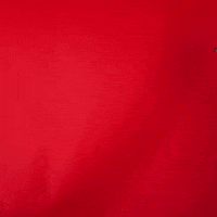 Texas Tech GIF by Texas Tech Baseball