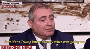 news donald trump msnbc rachel maddow lev parnas GIF