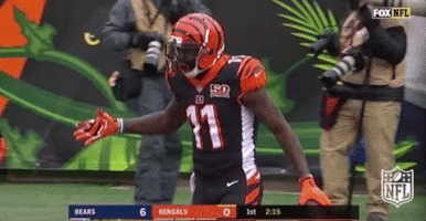 Cincinnati Bengals Football GIF by NFL