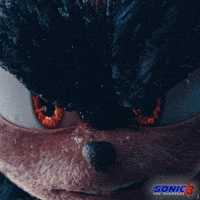 Shadow Tails GIF by Sonic The Hedgehog