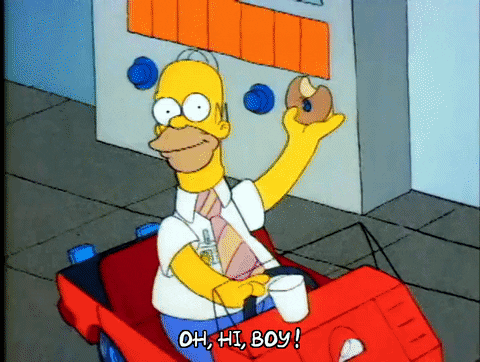 Season 1 Episode 3 GIF by The Simpsons