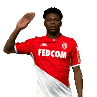 Ligue 1 Football Sticker by AS Monaco