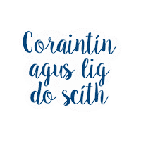 Quarantine And Chill Sticker by Foras na Gaeilge