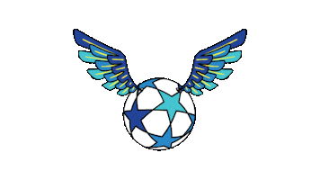 football soccer Sticker by Together #WePlayStrong