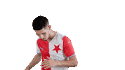 Come On Yes Sticker by SK Slavia Praha