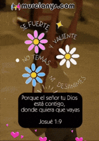 Saludos Esta GIF by Murcianys LLC