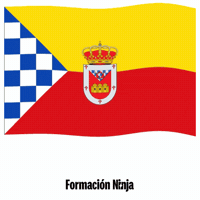 Bandera GIF by Formación Ninja
