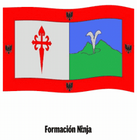 Bandera GIF by Formación Ninja