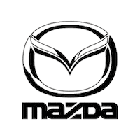 Logo Paraguay Sticker by Csk Equipamientos